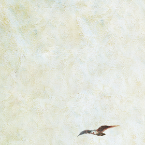 亚洲欧美专区图片专区
